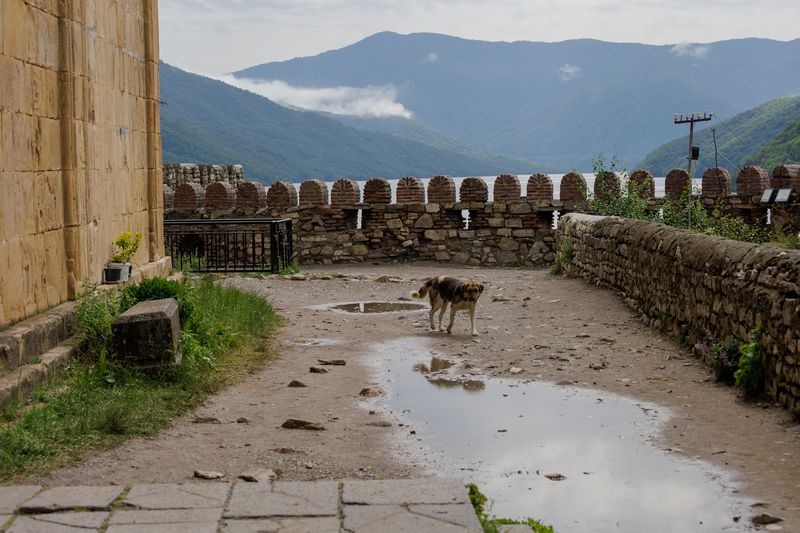 Kazbegi (21)