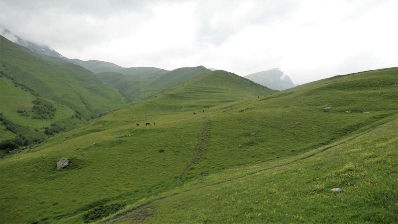 Kazbegi (47)