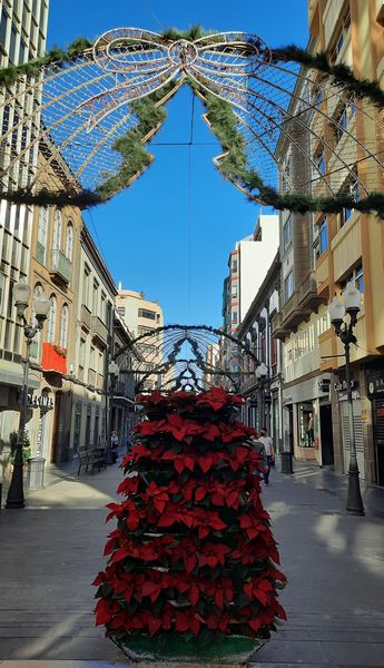 Las Palmas de Gran Canaria (33)