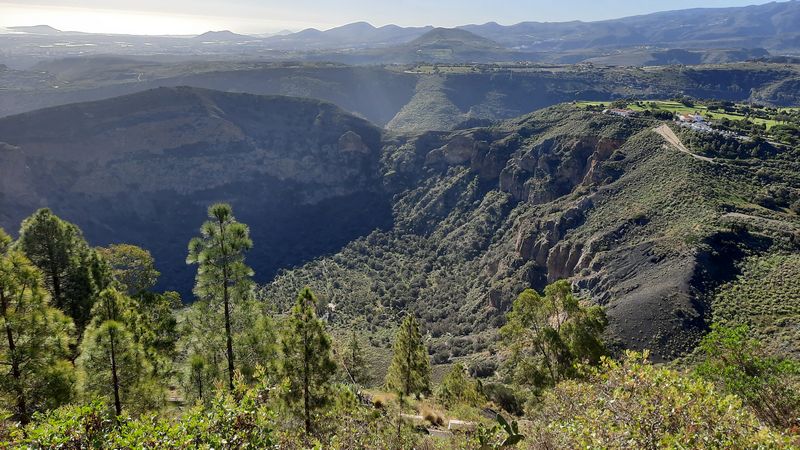 Caldera de Bandama (2)