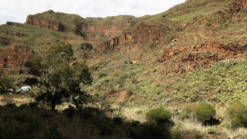 Barranco de Guayadeque (8)