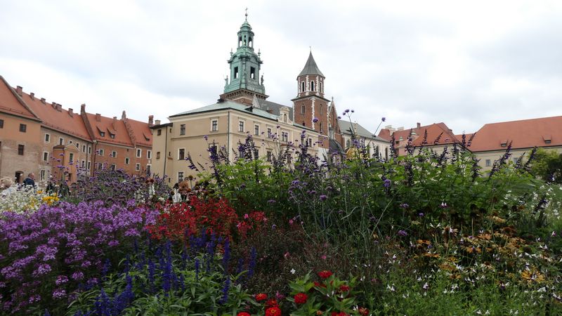 Wawel (21)