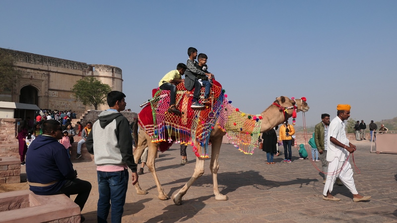 Jodhpur (20)