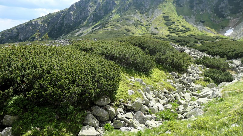 Vysoké Tatry (110)