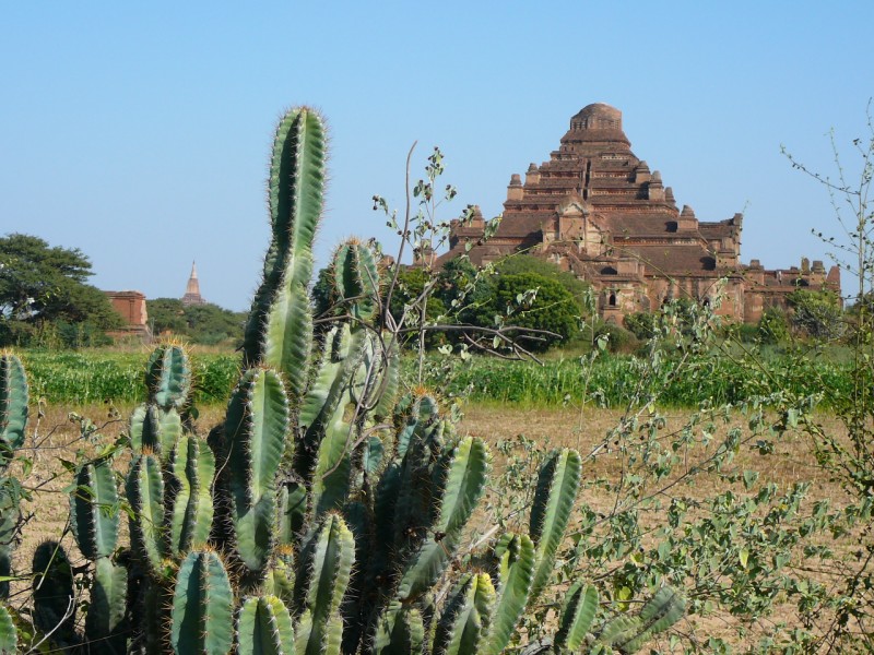 BAGAN 32 [800x600]