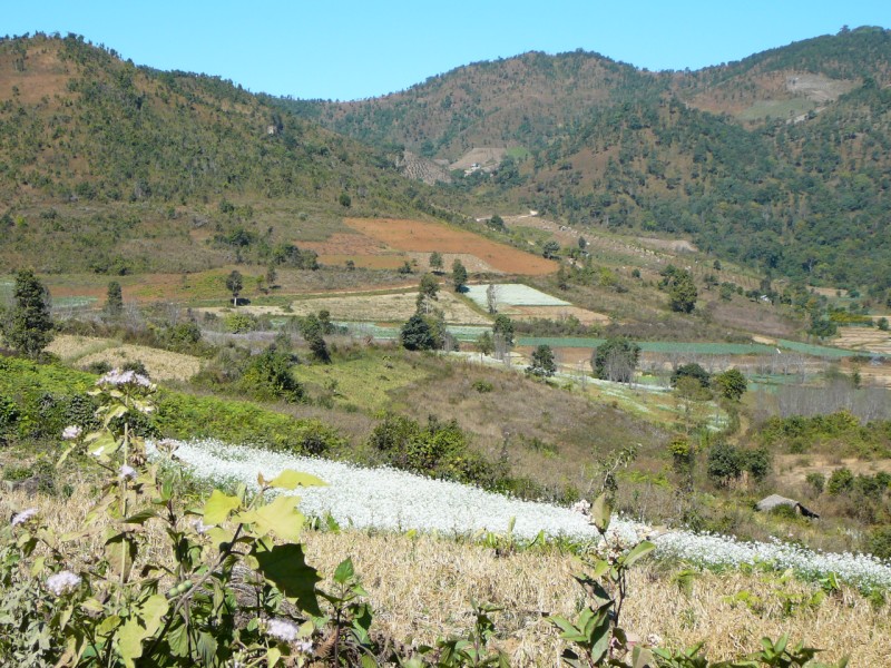 KALAW 17 [800x600]