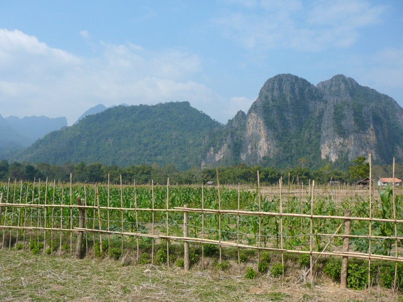 VANG VIENG 29 [800x600]