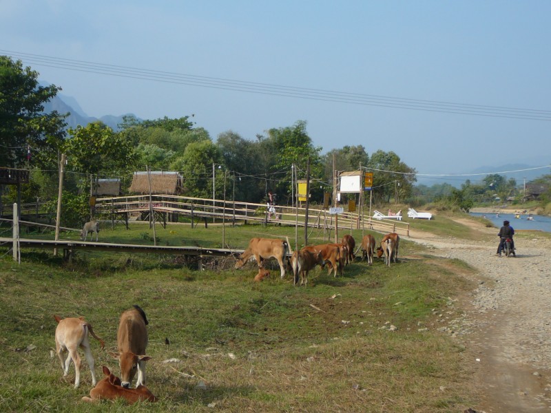 VANG VIENG 36 [800x600]