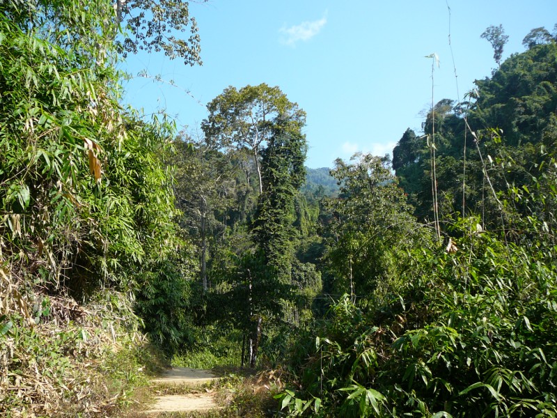 VANG VIENG 54 [800x600]