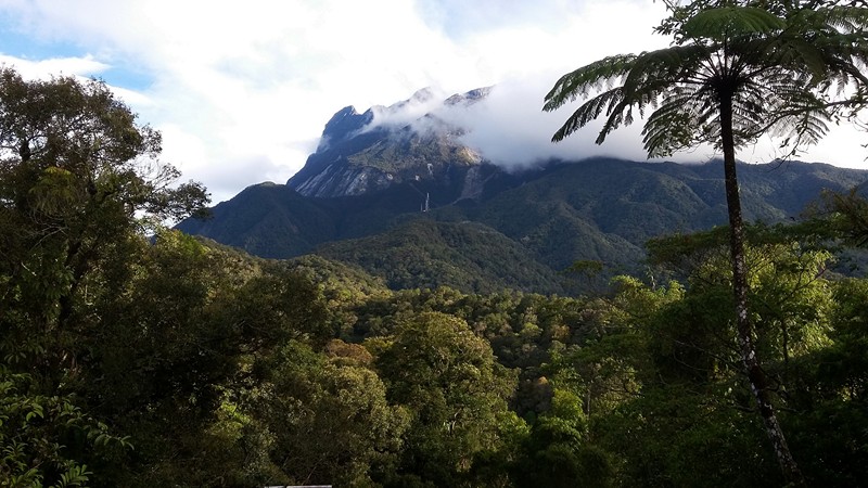 Mt.Kinabalu park (4) [800x600]