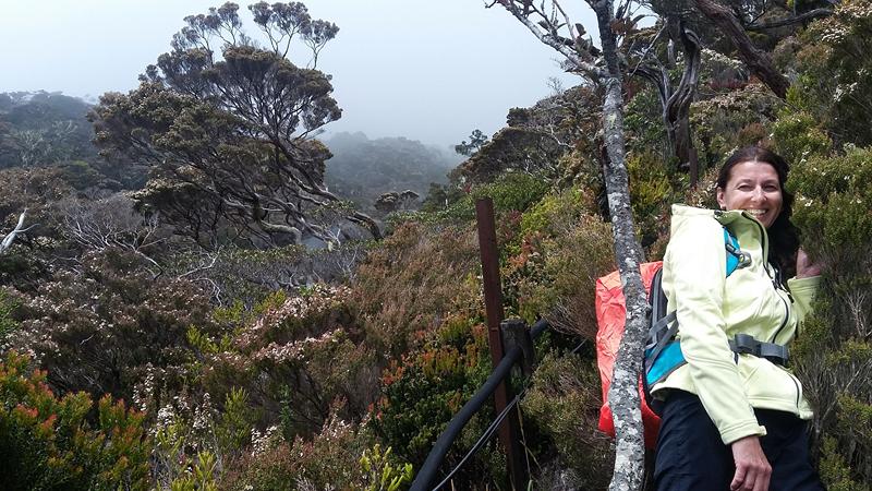 Mt.Kinabalu (1) [800x600]