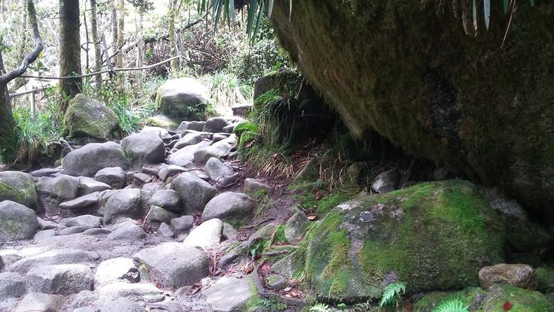 Mt.Kinabalu (9) [800x600]