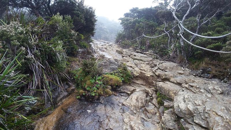 Mt.Kinabalu (27) [800x600]