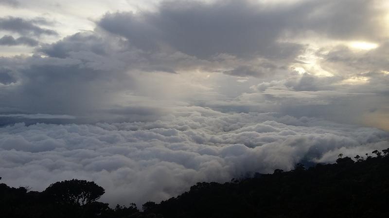 LABAN RATA 111 [800x600]