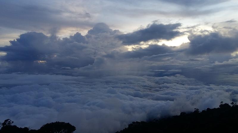 LABAN RATA 113 [800x600]