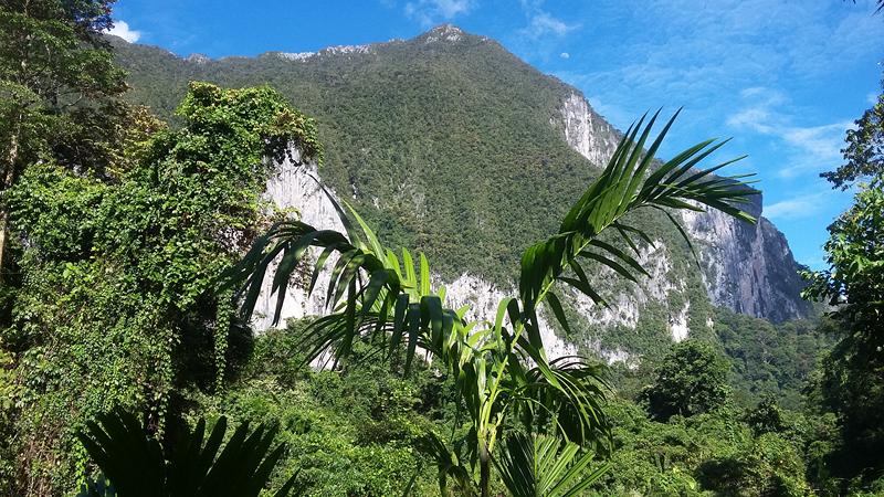 MULU (62) [800x600]