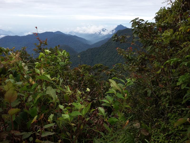 CAMERON HIGHLANDS 1 (3) [800x600]