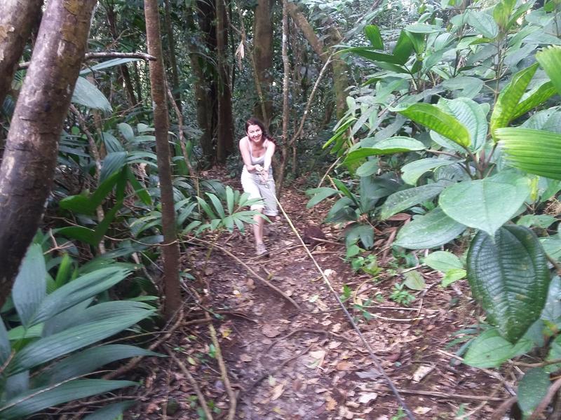 CAMERON HIGHLANDS 1 (6) [800x600]