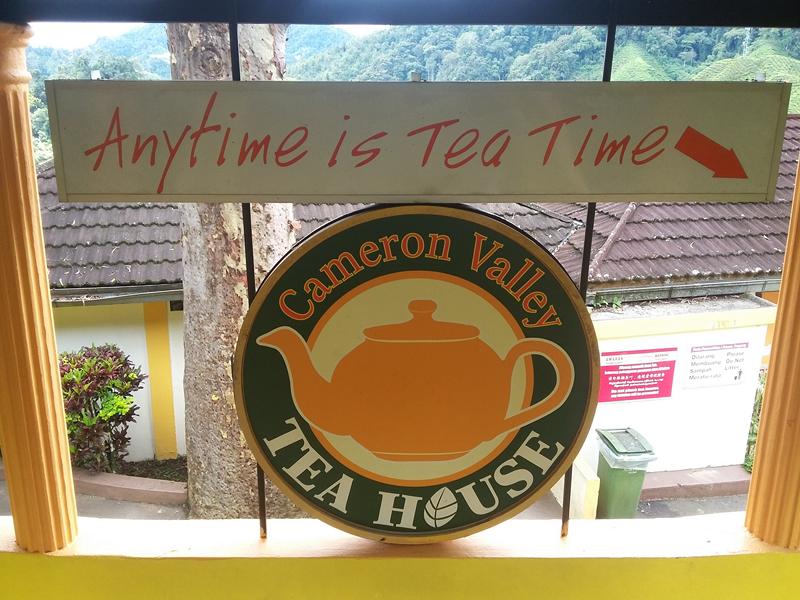 CAMERON HIGHLANDS 4 [800x600] (11)