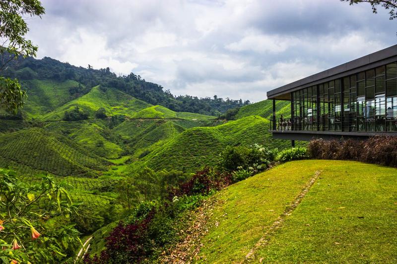 CAMERON HIGHLANDS 5 (2) [800x600]