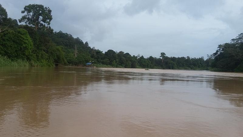 KINABATANGAN (12) [800x600]