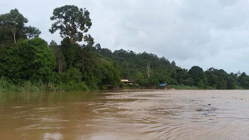 KINABATANGAN (14) [800x600]