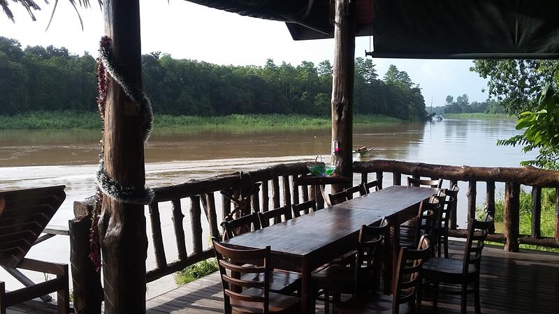 KINABATANGAN (22) [800x600]