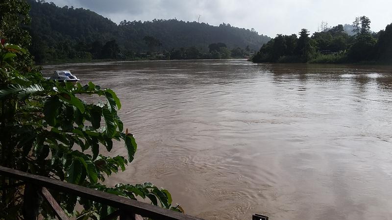 KINABATANGAN (23) [800x600]