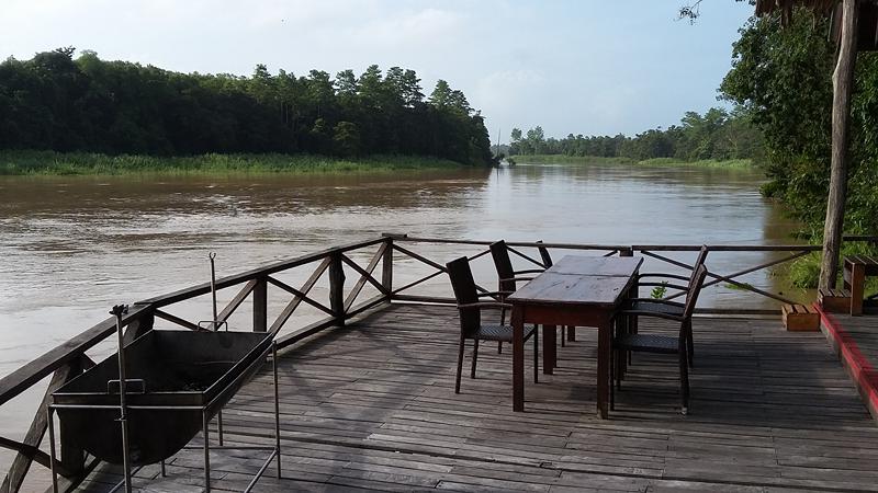 KINABATANGAN (25) [800x600]