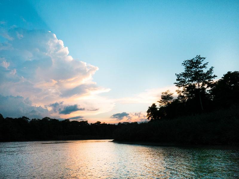 KINABATANGAN 1 (13) [800x600]