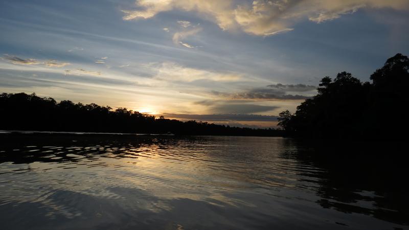 KINABATANGAN 1 (23) [800x600]