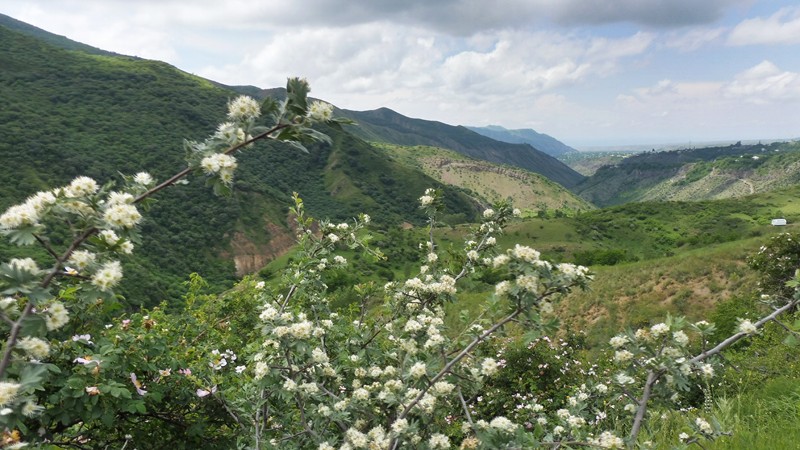 GARNI GEGHARD (30) [800x600]