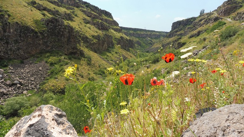 ASHTARAK (17) [800x600]