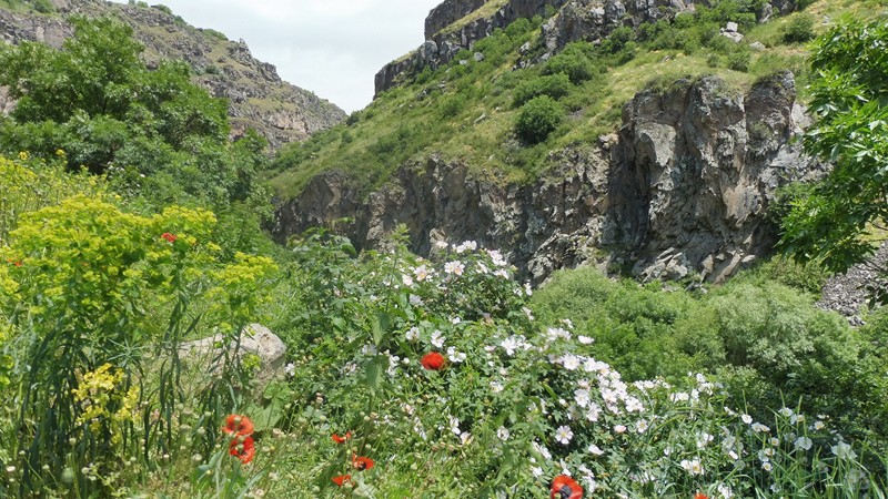 ASHTARAK (20) [800x600]