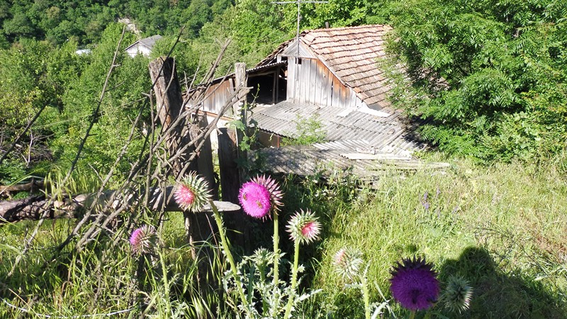 DILIJAN  (4) [800x600]