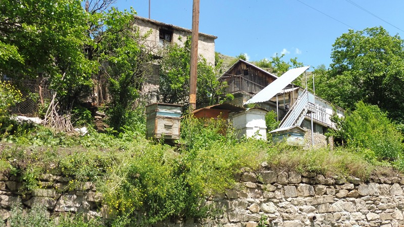 DILIJAN  (24) [800x600]