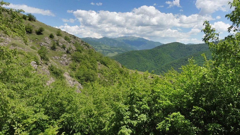 DILIJAN  (38) [800x600]