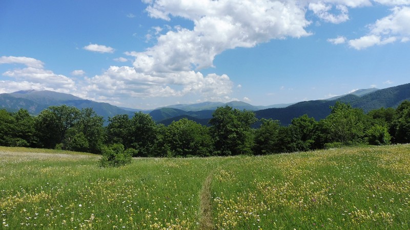 DILIJAN  (41) [800x600]