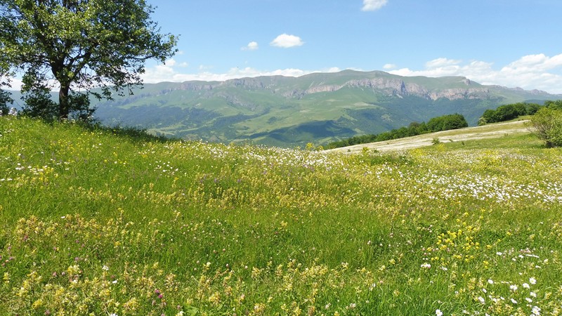 DILIJAN  (42) [800x600]