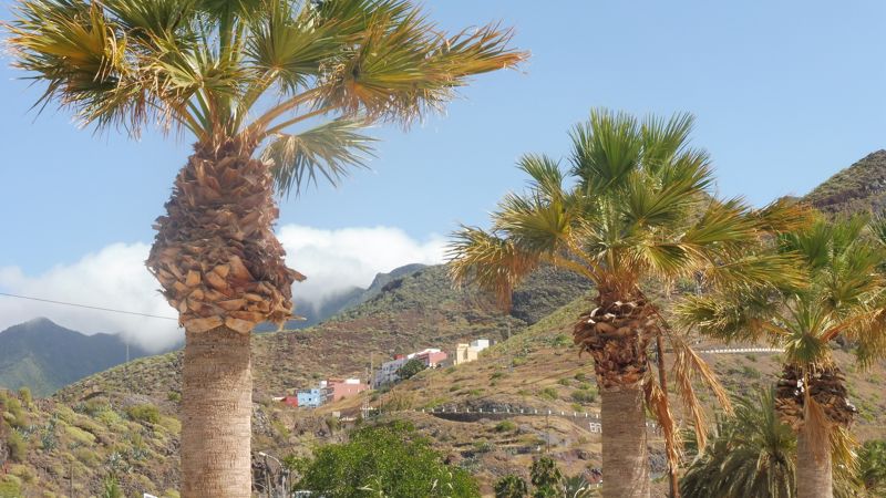 SANTA CRUZ DE TENERIFE (3)