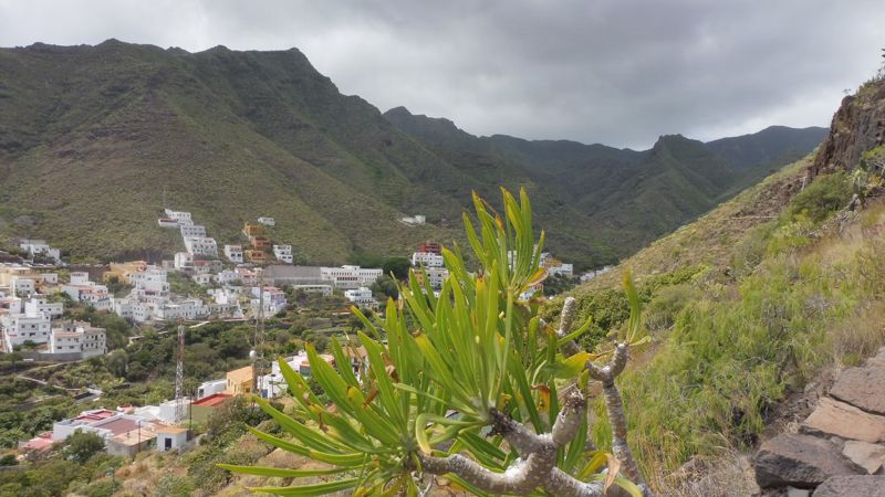 SANTA CRUZ DE TENERIFE (53)