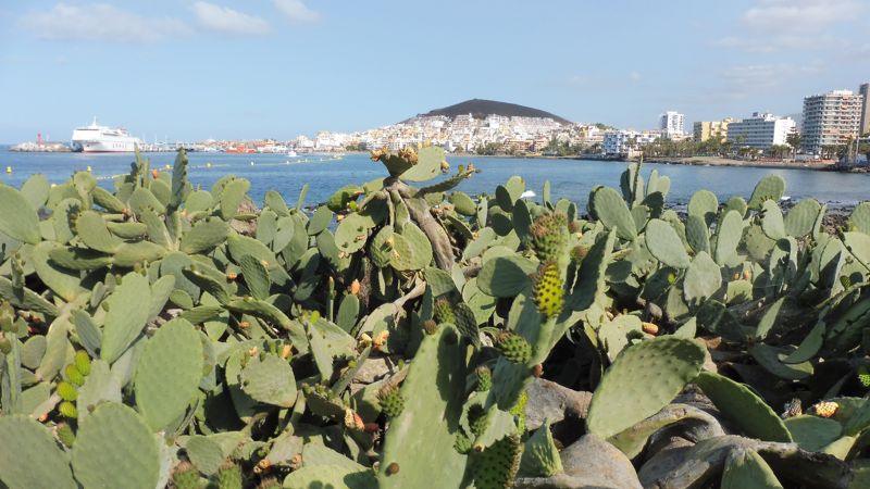 LOS CRISTIANOS (6)