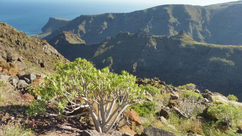 LA GOMERA (21)