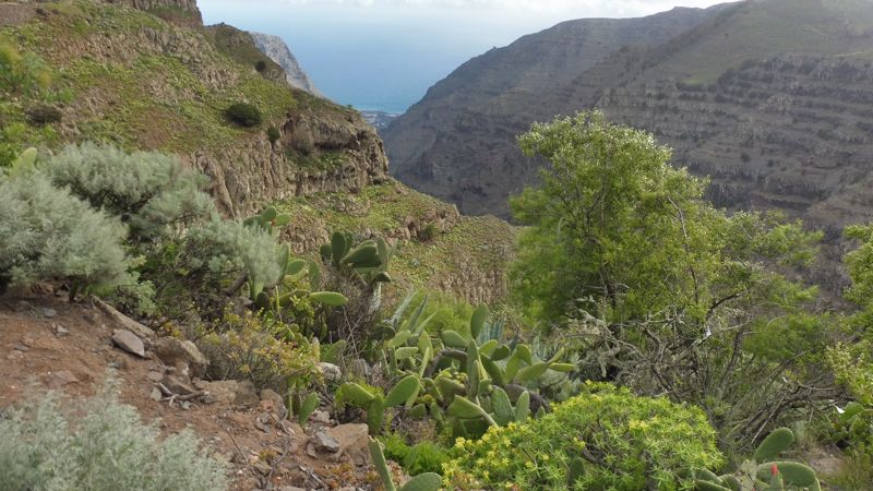 LA GOMERA (25)