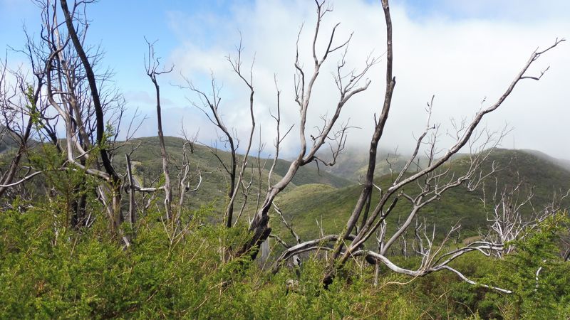 LA GOMERA (37)