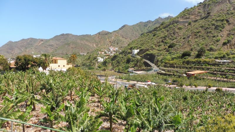 LA GOMERA (49)