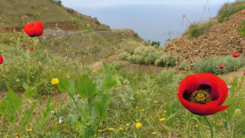 LA GOMERA (89)