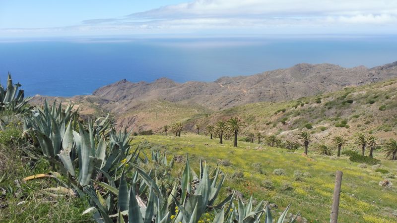 LA GOMERA (94)