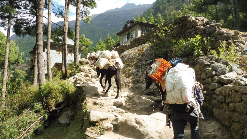 TREK DO NAMCHE (32)