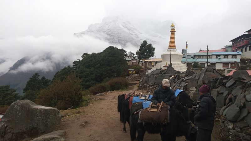 TENGBOCHE (6)